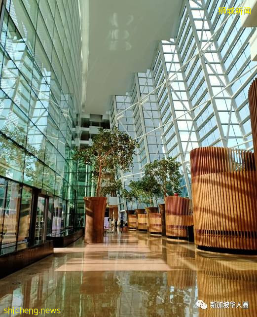 回新加坡後網友感歎,3個月手停口停,沒中病毒,先餓死了!