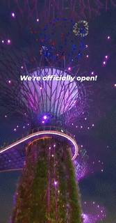 必去的圣诞仙境！一秒穿越奇幻，从新加坡到北极