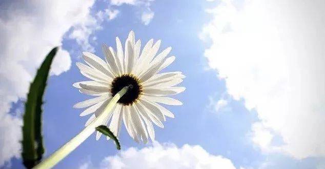 只有初中学历，我是如何在新加坡生存下来的