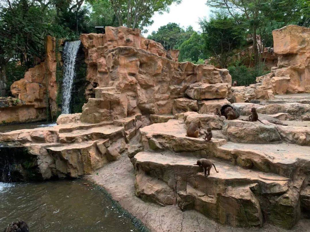 行走獅城——新加坡動物園