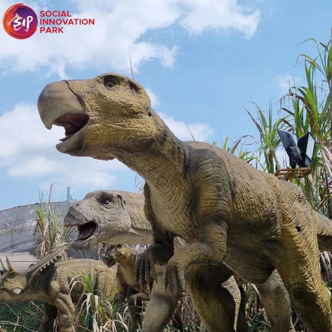 厲害了！新加坡封城一周年之際，狂開10個新景點准備迎外國遊客