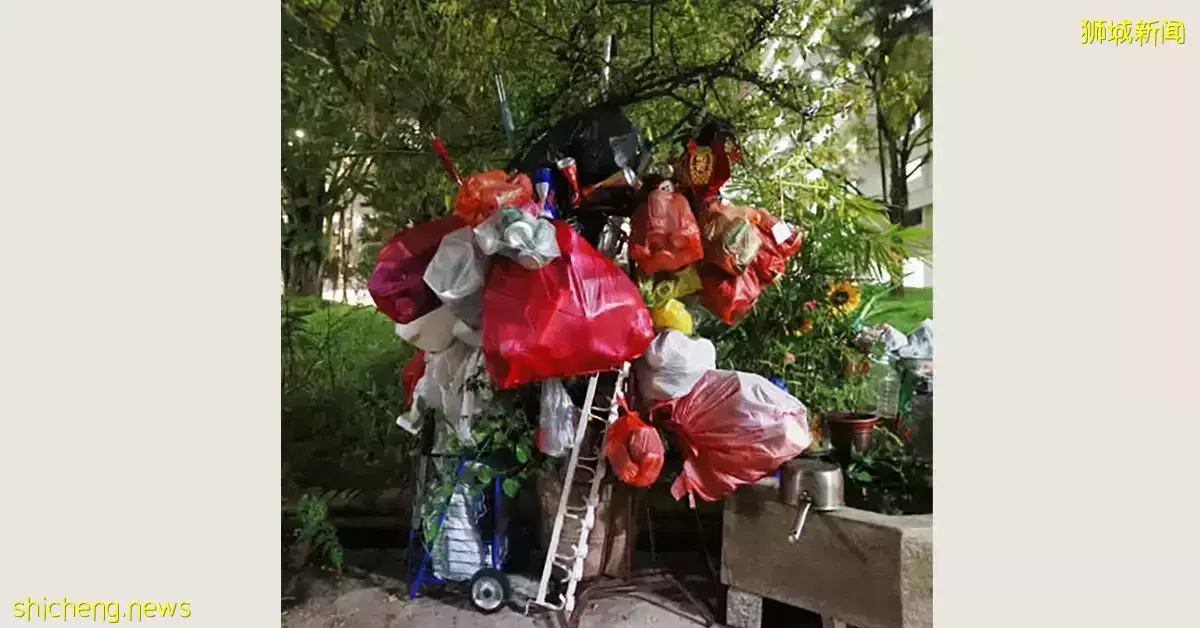 老妇无理投诉继续拾荒 盆栽挂满纸袋成垃圾树