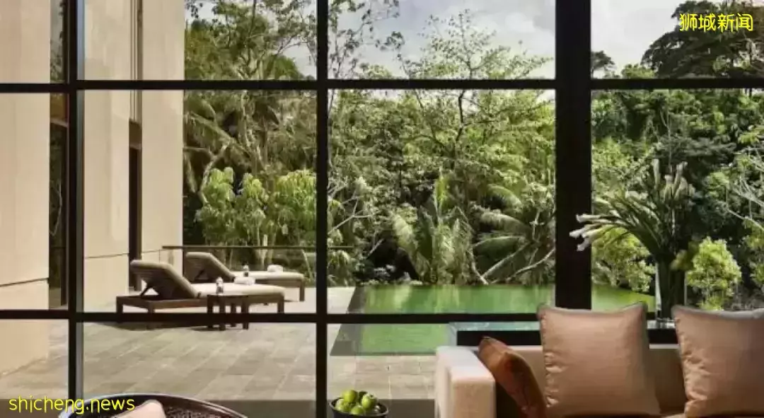 新加坡全面解封，莱佛士梅开二度、艾迪逊首秀，太让人期待