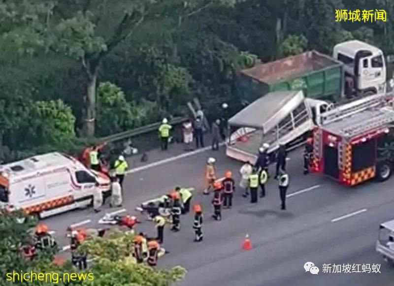 新加坡客工安全问题再亮红灯,在商言商也不能视人命如草芥