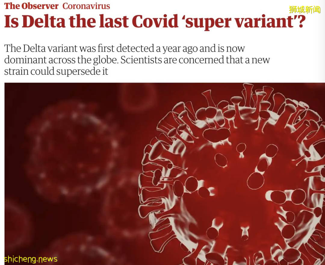 揭秘超强新病毒!疑“新冠+艾滋”形成,年轻人中快速传播!新加坡卫生部长回应