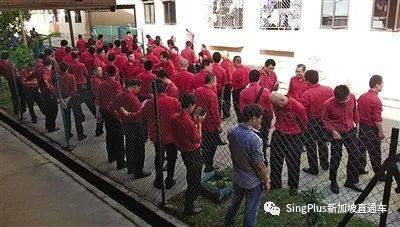 新加坡客工的難，絕不是從這次疫情開始的