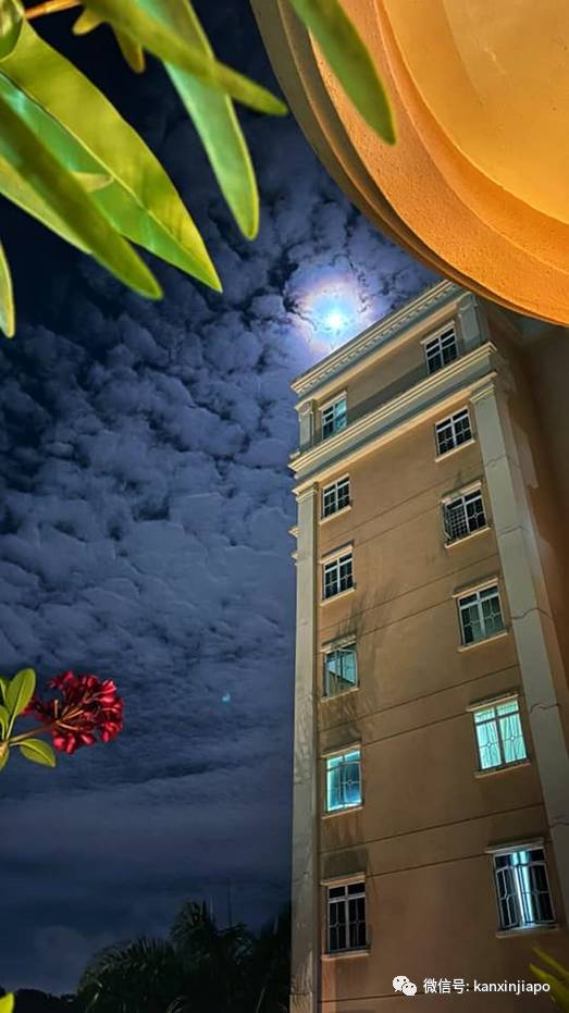 梦幻月晕!新加坡昨晚出现“吸血鬼”月亮