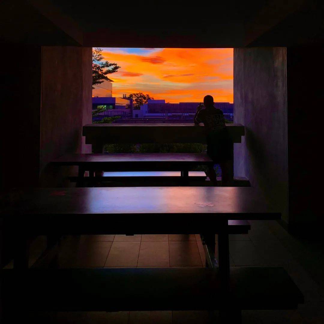 南洋理工大學，每一幀都很美