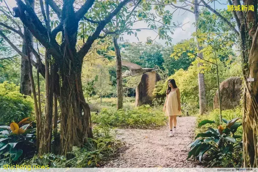 高空約會、熱帶飄雪、絕美燈光秀……2021年結束之前，在新加坡還有這些事要做