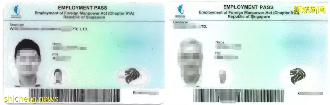 移民新加坡有捷徑？最快20天可火速登陸