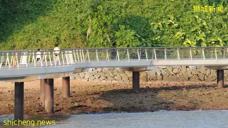 新加坡最新网红景点!风景绝美必打卡