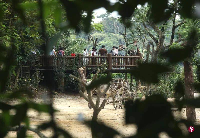 100元旅遊消費券哪裏領?一家大小出遊去