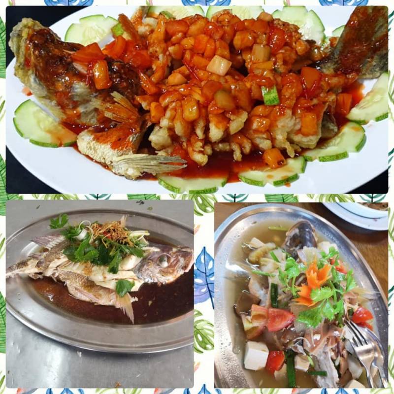 去吃新加坡最新鲜的海鲜！出海到海上奎笼吃海鲜！现捞现吃超美味