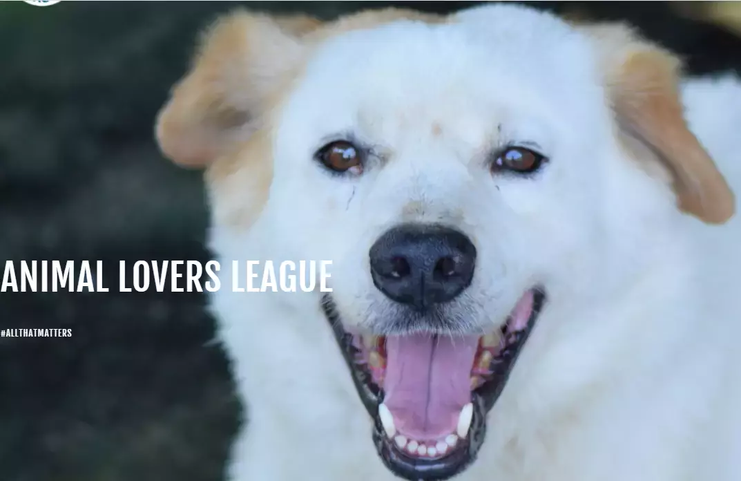 在新加坡去哪裏做義工?這22個地方,讓你和孩子的人生更有意義