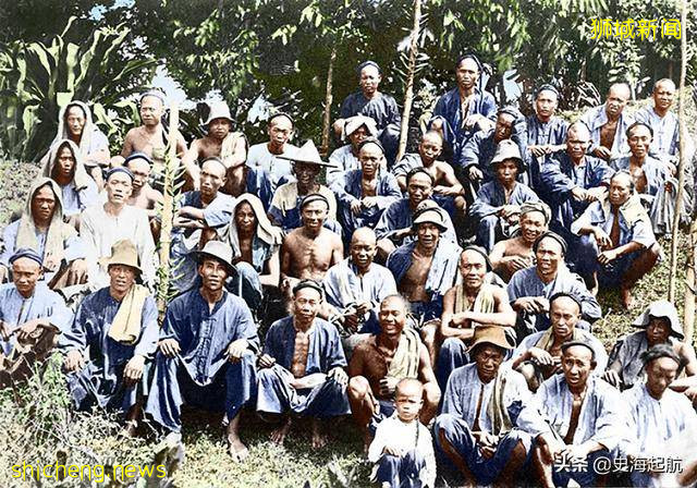 老照片:清朝末年,中國人下南洋謀生,很多人在新加坡當苦力