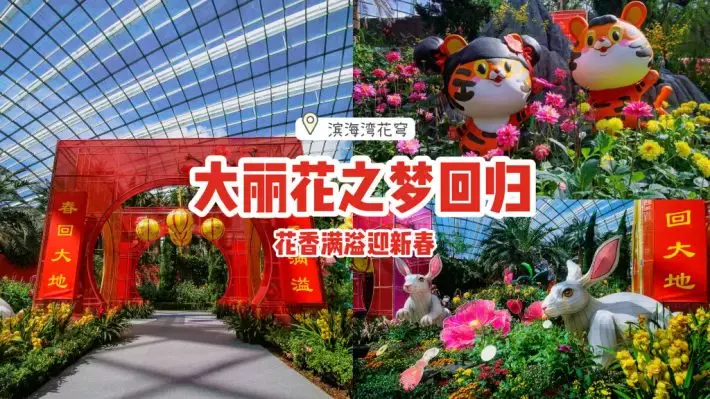 大丽花之梦2022回归！2000株花卉+中式拱门+虎宝宝装饰，花香满溢迎新春🔥