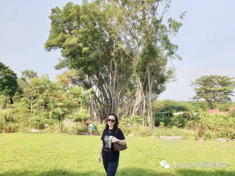 新加坡也有溫泉 三巴旺溫泉公園