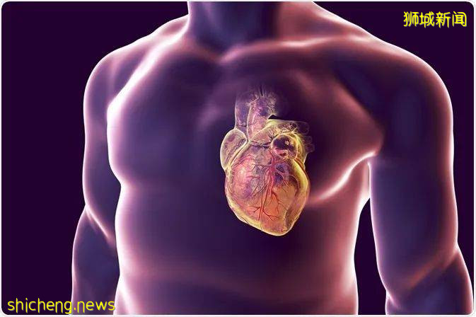 新加坡一男孩，16歲，被誤打莫德納疫苗！18歲以上才可接種