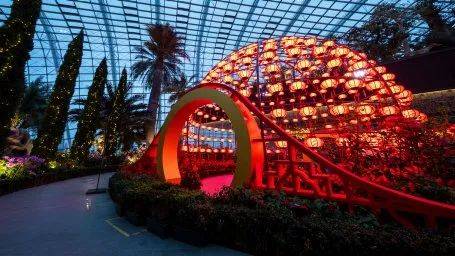 濱海灣花園新春花卉展【大麗花之夢】，1月15日開幕！喜氣洋洋迎牛年