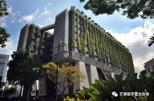 國際學生可直接申請新加坡PR