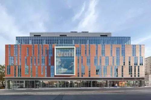 新加坡留學，揭秘商科十大高薪職業