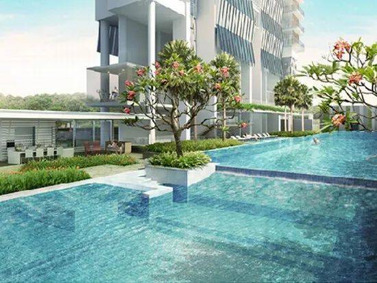 剛剛!美國又一超級富豪決定來新加坡了!扒一扒那些移民新加坡的富豪們