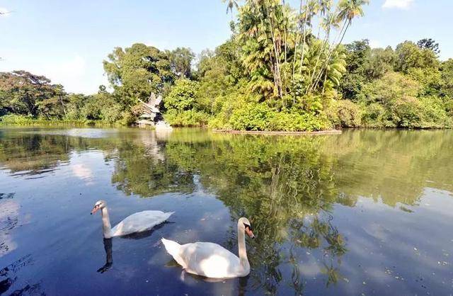 新加坡10个最美公园告诉你,花园城市有多美