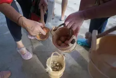 新加坡唯一免费天然温泉重新开放啦!约