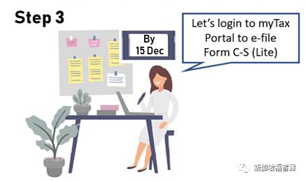 【新加坡公司注冊小知識】公司報稅，什麽是C S（簡化版） 表格
