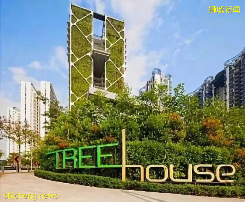 新加坡是怎样一步步成为“花园城市”的!