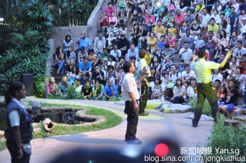 53457154gx6CSvZupkfcb&690