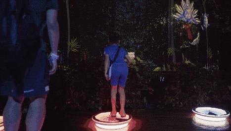 低至S$8！就3天！新加坡動物園“幻光雨林之夜”強勢回歸，亞洲第一夜遊體驗