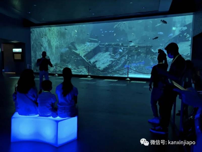 年末假期,教你如何在新加坡找“雪花”、小黃人和聖誕老公公