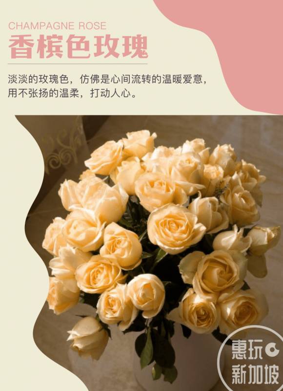 在新加坡过上精致美好的生活,只需要从一束花开始