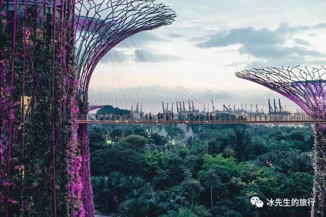 新加坡——现代国际风格的“狮城”