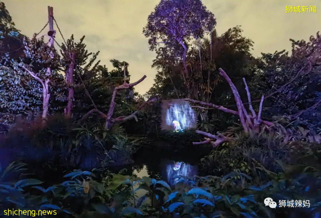 低至S$8！就3天！新加坡動物園“幻光雨林之夜”強勢回歸，亞洲第一夜遊體驗