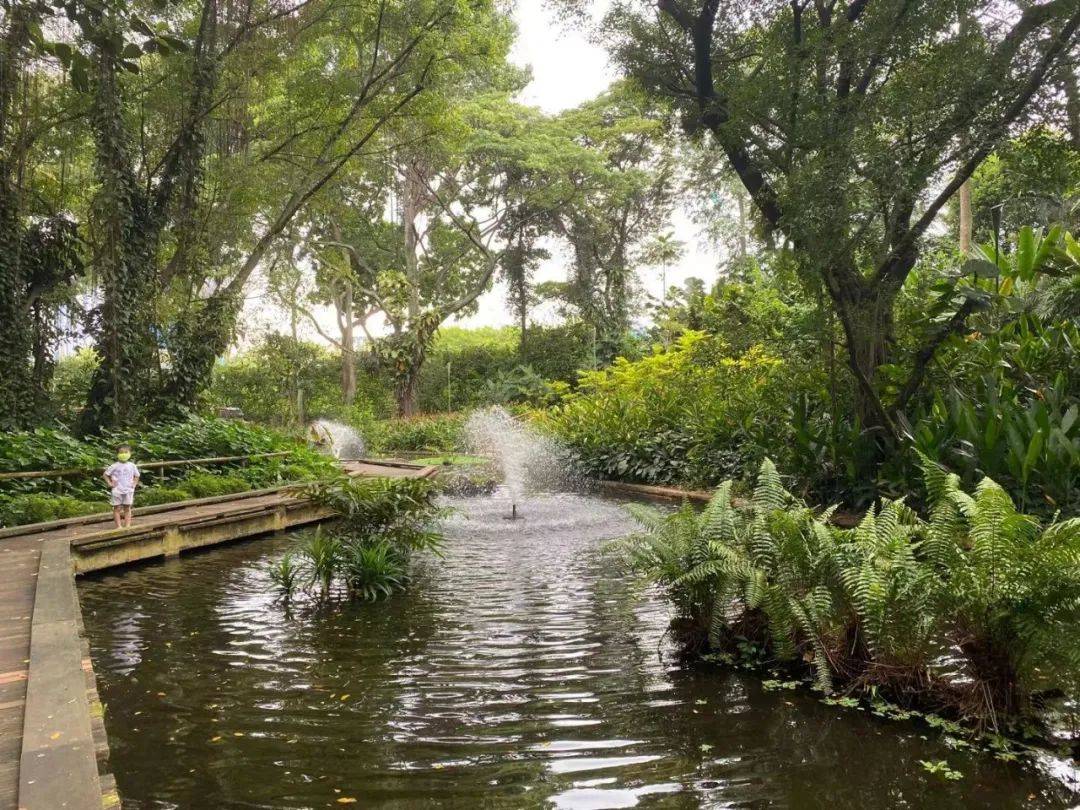 免費送票!帶倆娃嗨翻亞洲最大飛禽園,400多種5000多只鳥,一路驚喜不斷