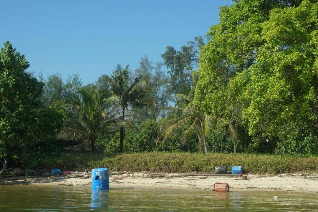 新加坡一天全島沒有清潔工，竟變成了這幅鬼樣子