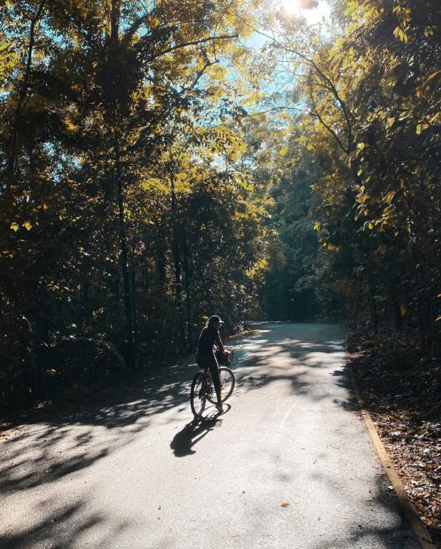 新加坡后花园Pulau Ubin!原始村落环岛骑行和登山,完整攻略+路线清单