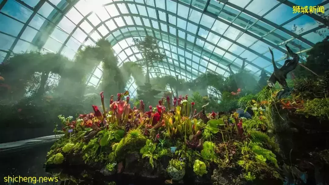 爲了遊客新加坡拼了！要建滑雪中心、雨林酒店，還要給金沙再蓋一幢樓