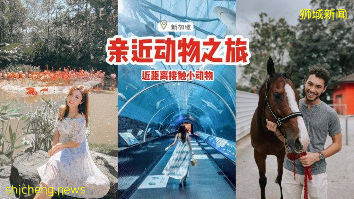 攻略收好、出发开启亲近动物之旅🦩从白天玩到晚上、10大景点近距离接触小动物