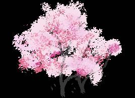 想学花艺的朋友们,新加坡这7家店收好不谢!还能考硕士文凭