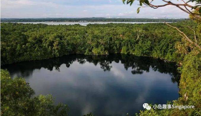 新加坡5個最美離島攻略，花十幾新幣仿佛“出國遊”