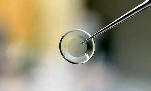 新加坡近視率全球第一！家長如何拯救孩子的眼睛