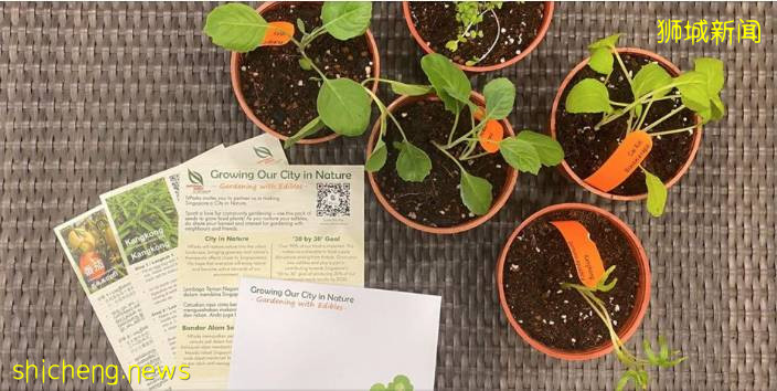 鼓勵家庭園藝,新加坡公園局給大家免費發種子啦,快去注冊