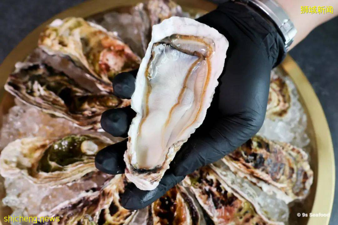 最全整理!新加坡9家订海鲜网站,甜虾、生蚝、海胆、日本扇贝