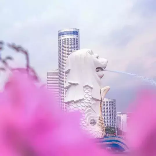 回首2021,關于新加坡的那些事兒