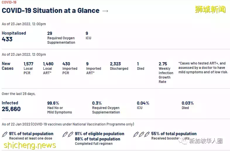 創新高5996例!新加坡繼續與各國商討,逐步恢複免隔離跨境旅遊