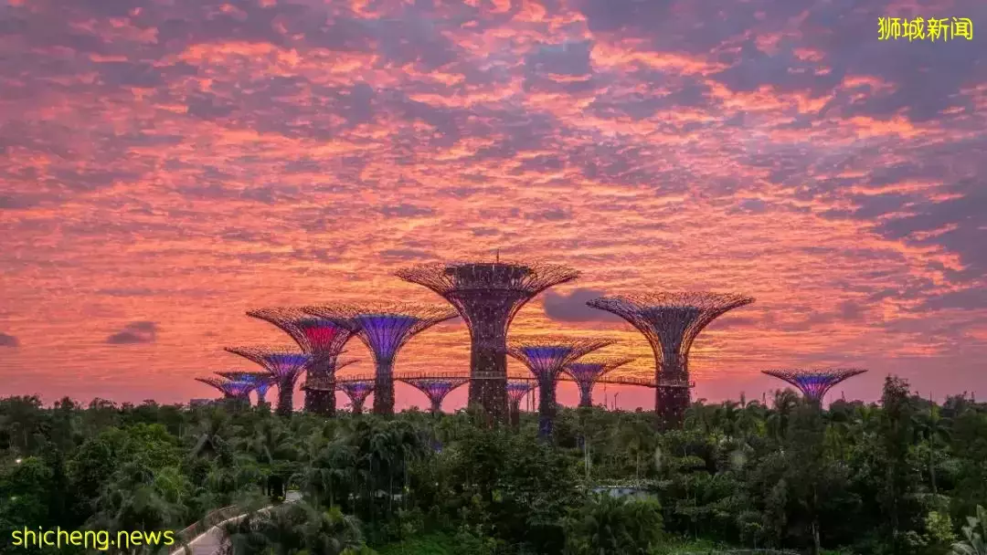 只知道$2000萬的家辦你就out了！最新新加坡准證、移民政策大盤點