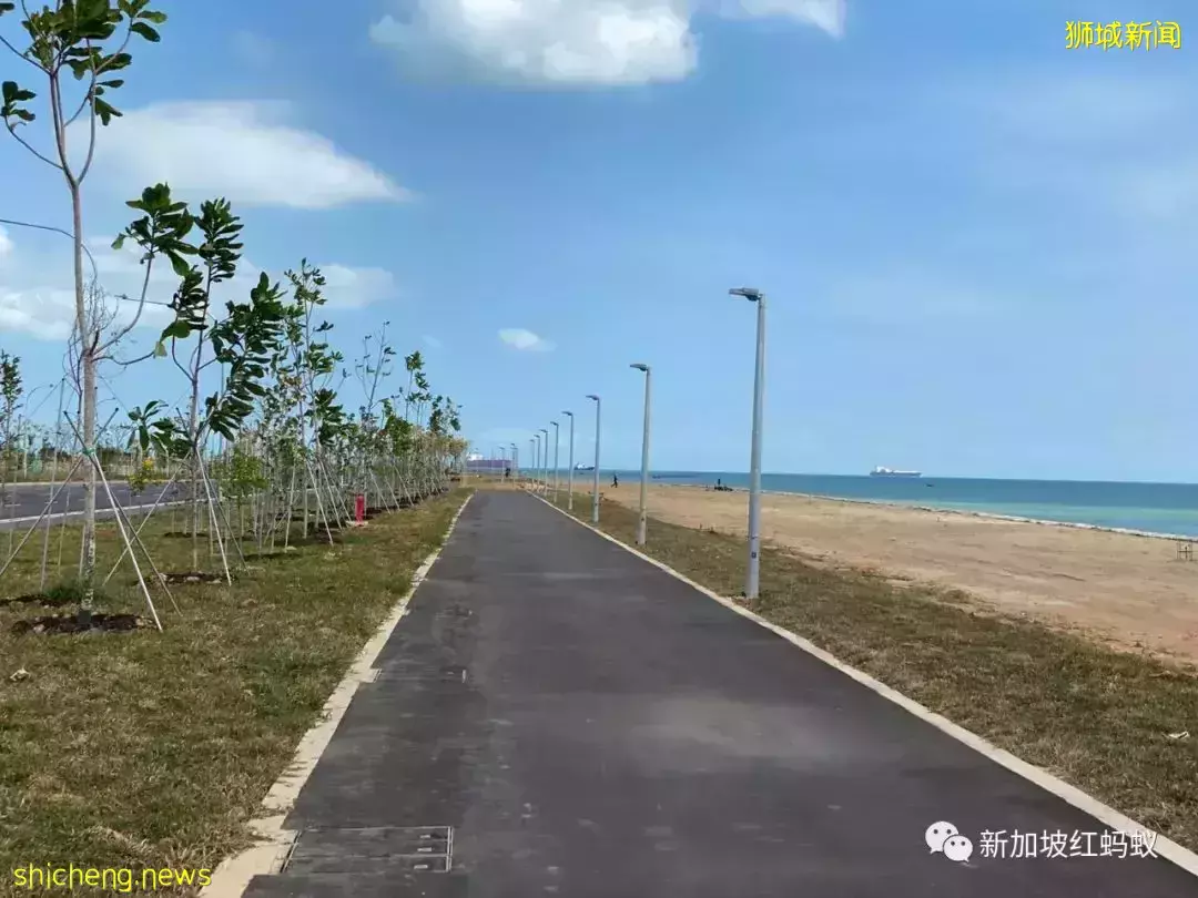 【圖文】這段18公裏沿海路線美爆了! 左看右看都不像在新加坡